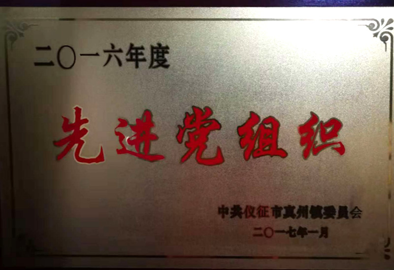 2016年真州镇先进党组织