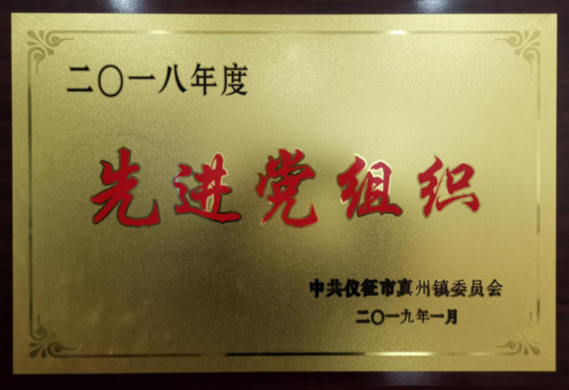 2018年真州镇先进党组织