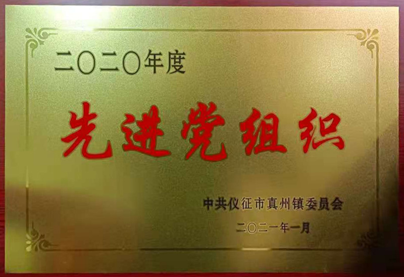 2020年真州镇先进党组织